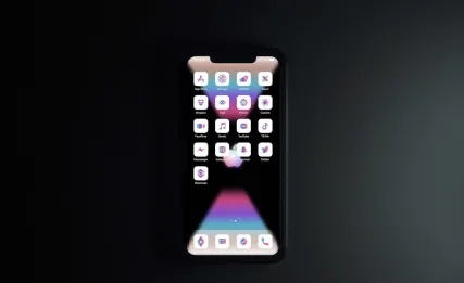 Playfina Casino Application mobile